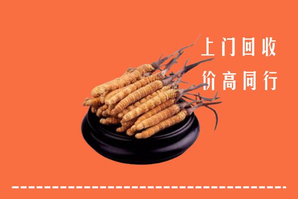 收购行情：榆次区回收散虫草