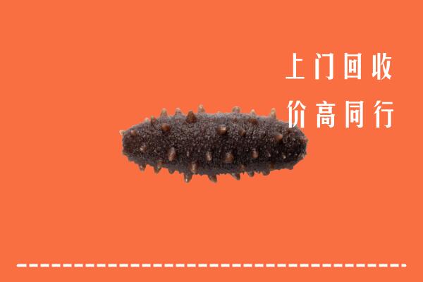 榆次区回收海参