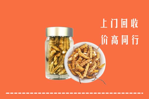 榆次区回收冬虫夏草